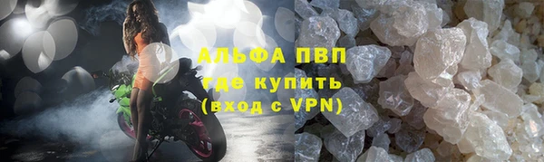 индика Заводоуковск