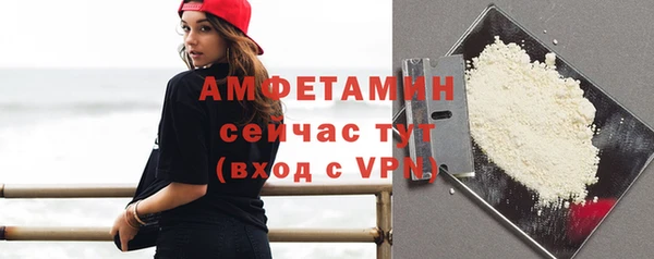 индика Заводоуковск
