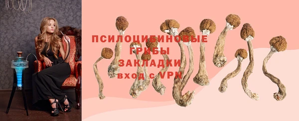 спайс Заволжск