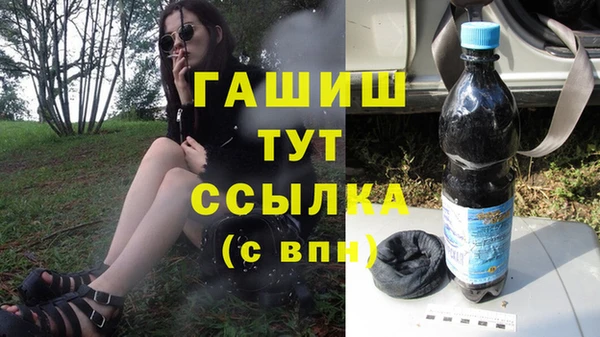 индика Заводоуковск