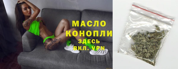 индика Заводоуковск