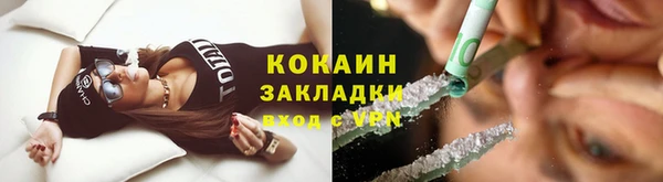 индика Заводоуковск