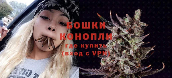 индика Заводоуковск