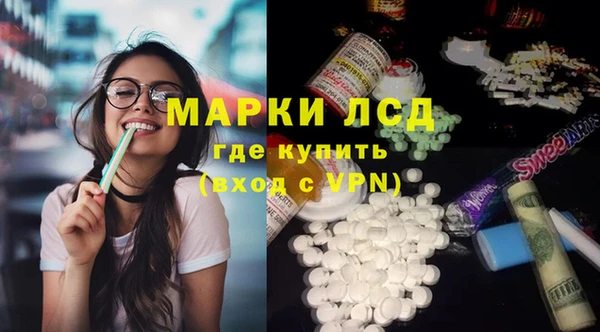индика Заводоуковск