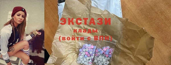 индика Заводоуковск