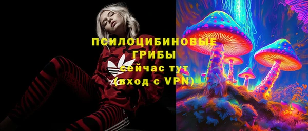 индика Заводоуковск