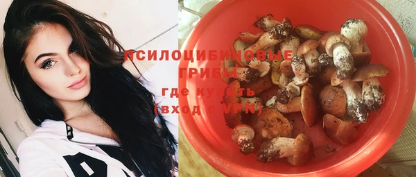 альфа пвп Заволжье